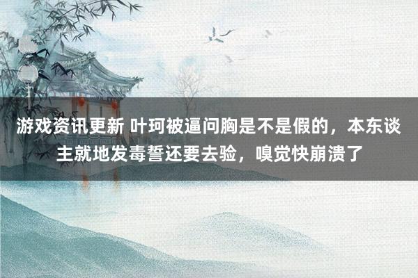 游戏资讯更新 叶珂被逼问胸是不是假的，本东谈主就地发毒誓还要去验，嗅觉快崩溃了