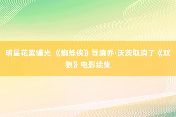 明星花絮曝光 《蜘蛛侠》导演乔·沃茨取消了《双狼》电影续集