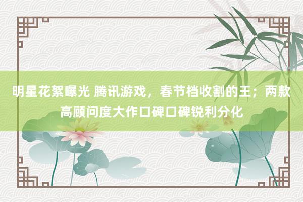 明星花絮曝光 腾讯游戏，春节档收割的王；两款高顾问度大作口碑口碑锐利分化